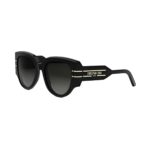 Dior Diorsignature R2I CD40187I