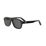 Dior Cd Icon A1I DM40173I